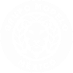 Grupo Modelo