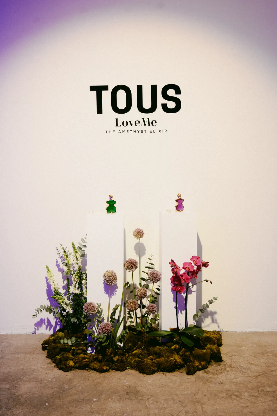 Fotografía del proyecto Love Me Amethyst 11